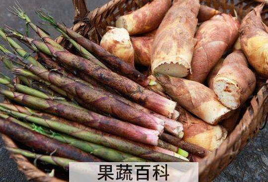 春笋和冬笋的区别是什么