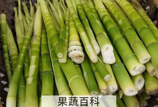 春笋和冬笋的区别是什么