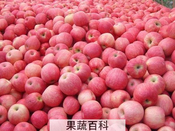 糖尿病患者营养剂 低糖水果排行榜