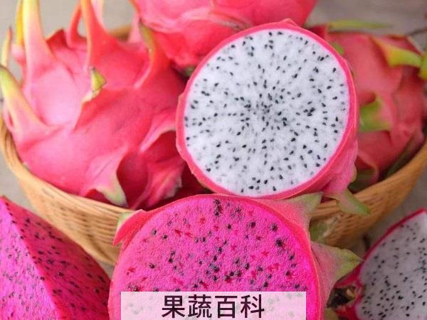 糖尿病患者营养剂 低糖水果排行榜