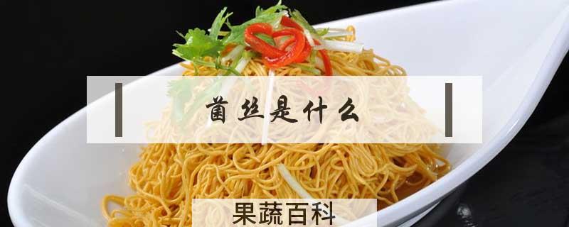 菌丝是什么