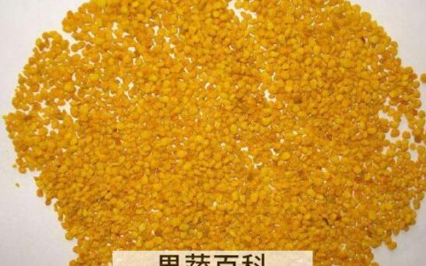 荷花花粉禁忌有哪些 长期吃荷花粉的危害
