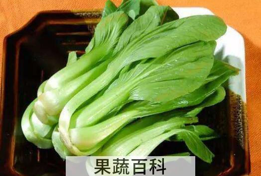 天天吃油菜有什么坏处