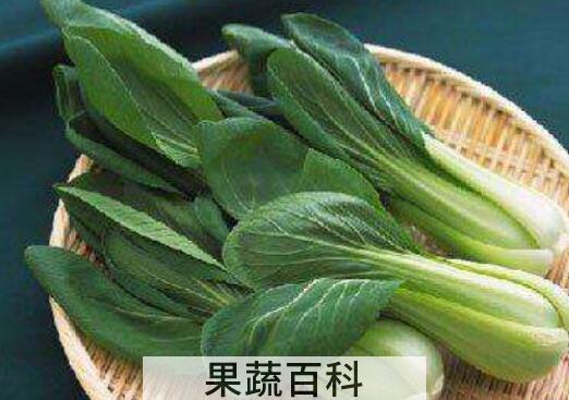 天天吃油菜有什么坏处
