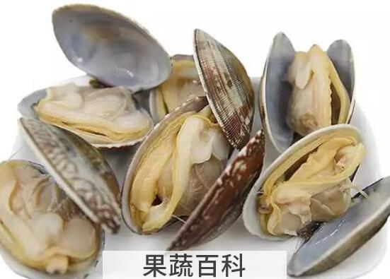 美国红贝的哪些部位不能吃 美国红贝的吃法