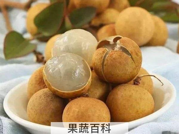 水果超级进化 龙眼和桂圆的区别