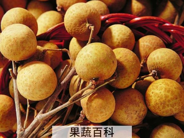 水果超级进化 龙眼和桂圆的区别