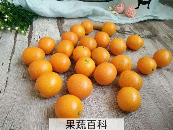 金桔怎么吃 汤酱茶任君选
