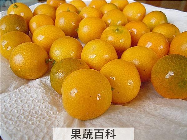 加糖反而有奇效 金桔止咳的做法