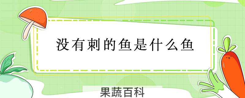 没有刺的鱼是什么鱼