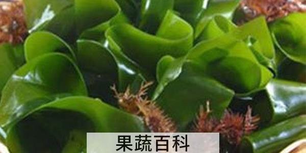 盐渍裙带菜常温能保存多久