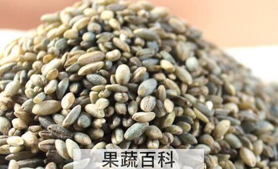 蓝青稞米如何吃 蓝青稞米做法