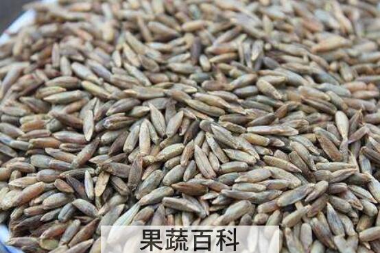 蓝青稞米如何吃 蓝青稞米做法