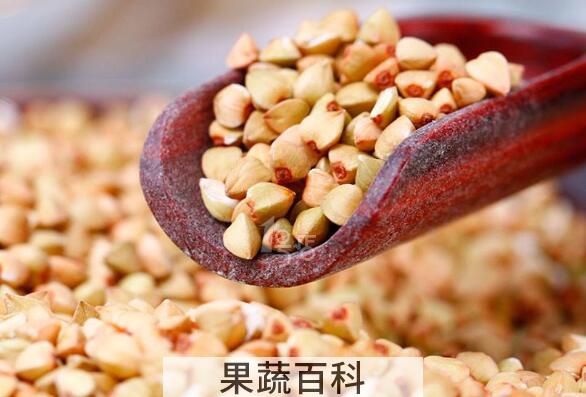 黑荞麦片的功效与作用