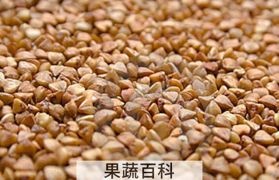黑荞麦片的功效与作用