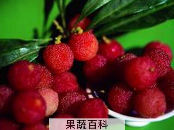杨梅核能吃吗 医生和民间哪个更可信