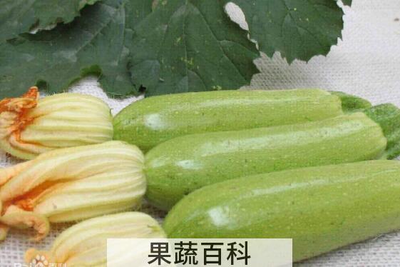 番瓜有什么功效与作用 吃番瓜的好处有哪些