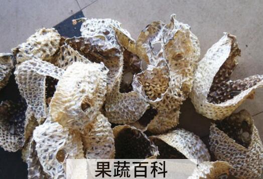 刺龟皮什么人不能吃 刺龟皮的副作用与禁忌