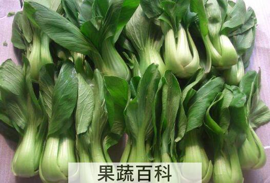 吃油菜的好处和坏处