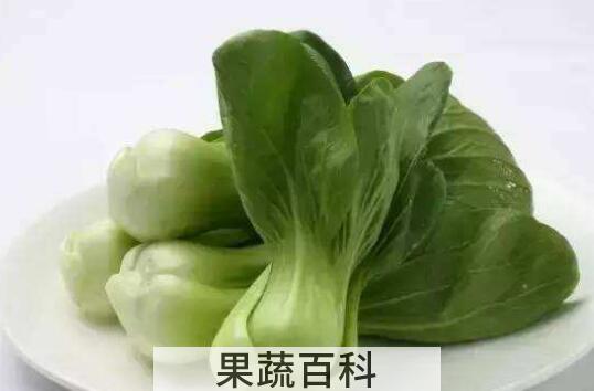 吃油菜的好处和坏处