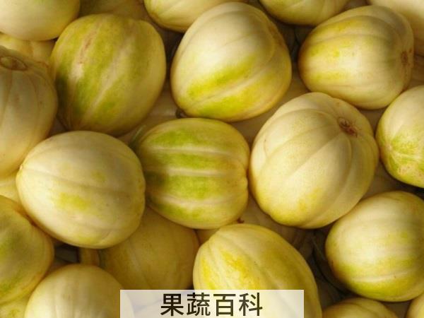 水果百科知多少 吃香瓜上火吗