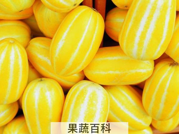 水果百科知多少 吃香瓜上火吗