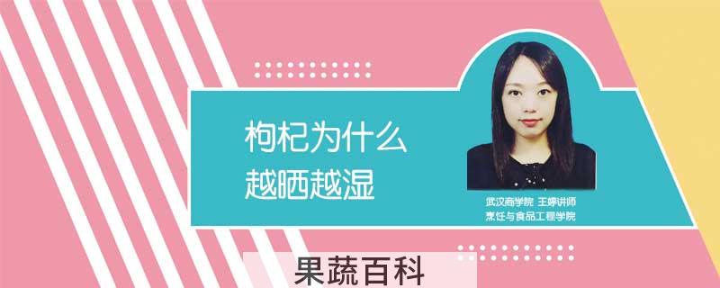 枸杞为什么越晒越湿