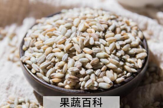 青稞米怎么做好吃 青稞米的好处