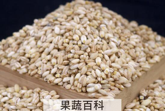 如何购买青稞米 吃青稞米的好处