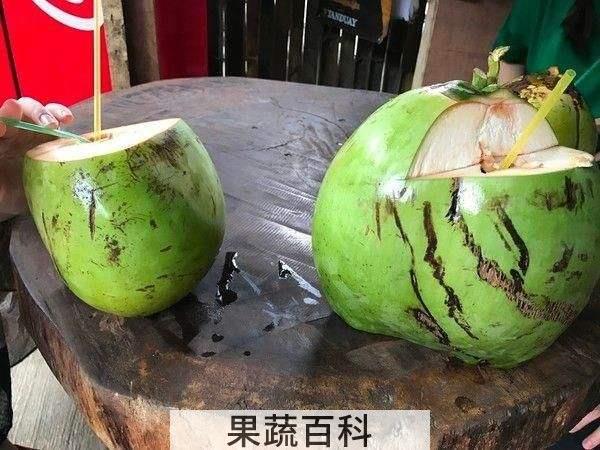 椰子怎么打开 感受原始武器的力量