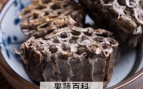 露蜂房如何泡酒 露蜂房泡酒的功效与作用