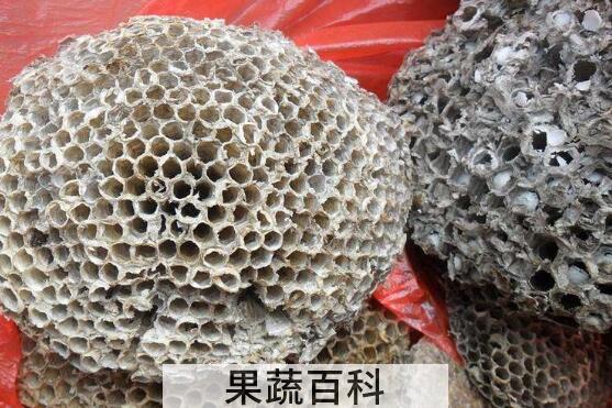 露蜂房如何泡酒 露蜂房泡酒的功效与作用