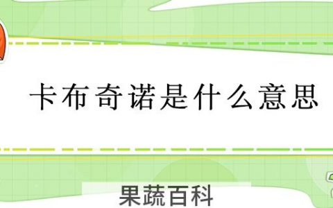 卡布奇诺是什么意思