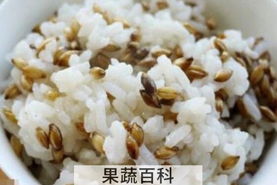 青稞米的食用方法 蓝青稞米的吃法