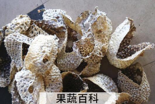 刺龟皮如何去刺 刺龟的刺应该怎么剔除