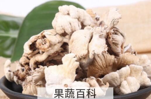 白参菇的功效与作用 白参菇的食用方法