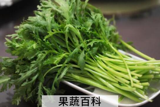 蒿子油的功效与作用