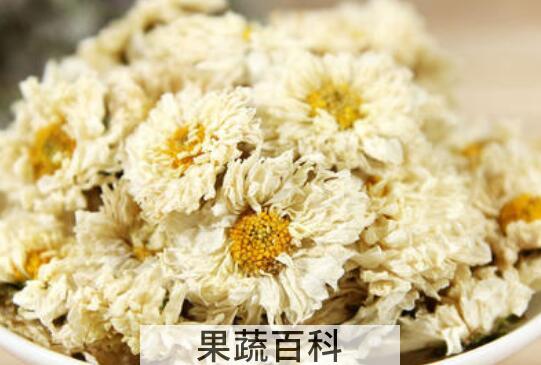 白菊花茶的功效与作用 白菊花茶怎么泡好喝