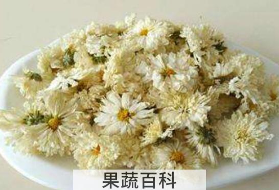 白菊花茶的功效与作用 白菊花茶怎么泡好喝