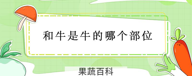 和牛是牛的哪个部位