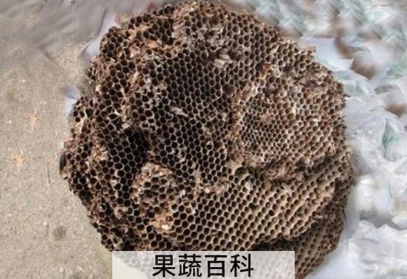 干蜂窝怎么吃 干蜂窝的食用方法
