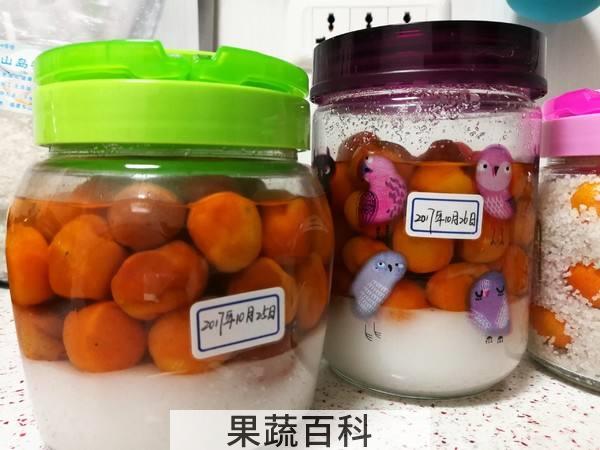 怎样制作顺序如何 咸金桔敲门公布
