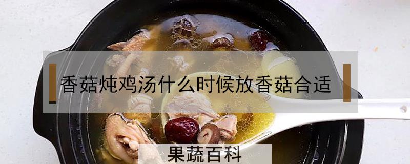 香菇炖鸡汤什么时候放香菇合适