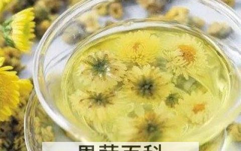 蒲公英菊花茶的功效与作用 蒲公英菊花茶的禁忌