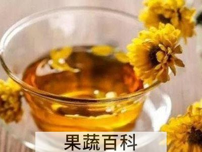 蒲公英菊花茶的功效与作用及禁忌