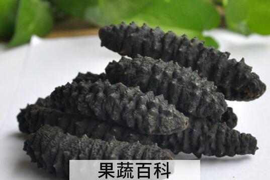 黑海参的功效与作用 黑海参的食用方法