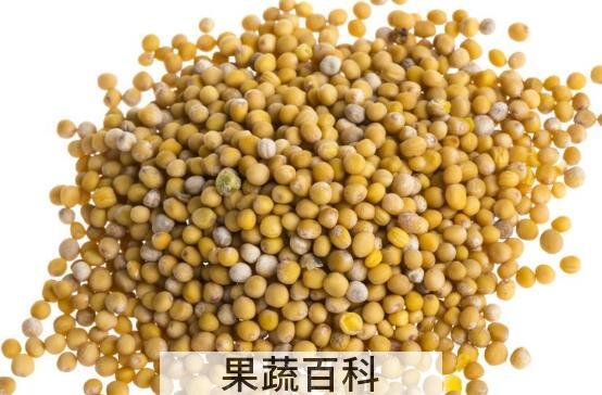 芥末籽怎么调好吃 芥末籽怎么使用