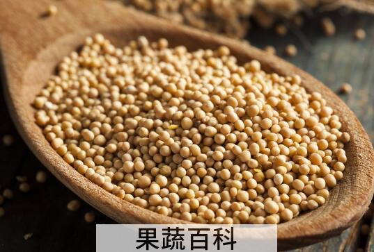 芥末籽怎么调好吃 芥末籽怎么使用