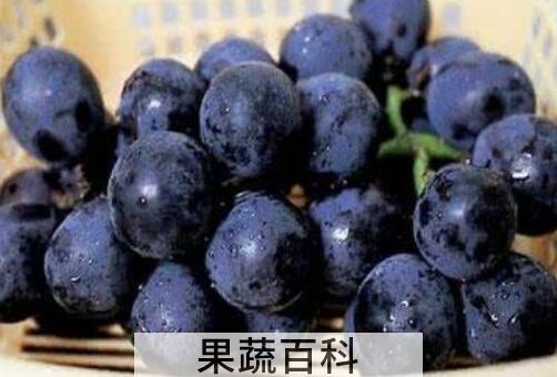吃黑加仑有什么好处和坏处