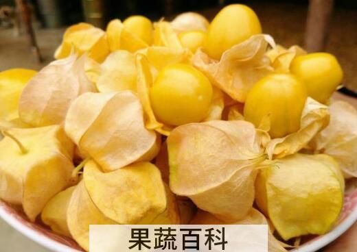姑娘果的功效与作用 姑娘果怎么吃
